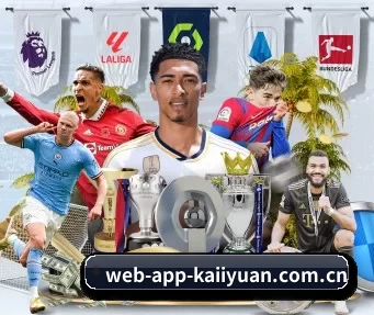 web-app-kaiiyuan.com.cn APP